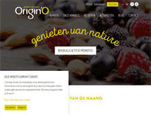 Tablet Screenshot of origino.be